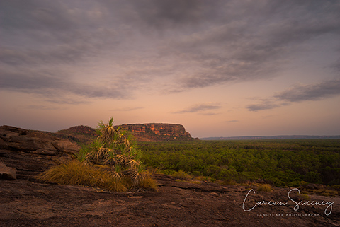Nawurlandja Lookout, Kakadu